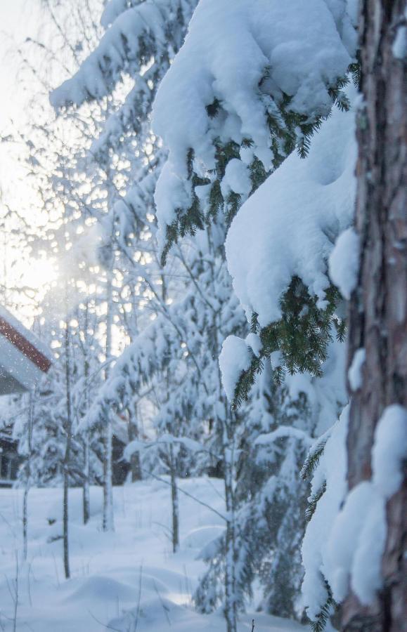 Villa Kurpitsa At Messila Ski & Camping Hollola Exteriör bild